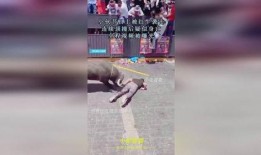 男子爆料红牛事件视频播放,男子爆料惊人内幕